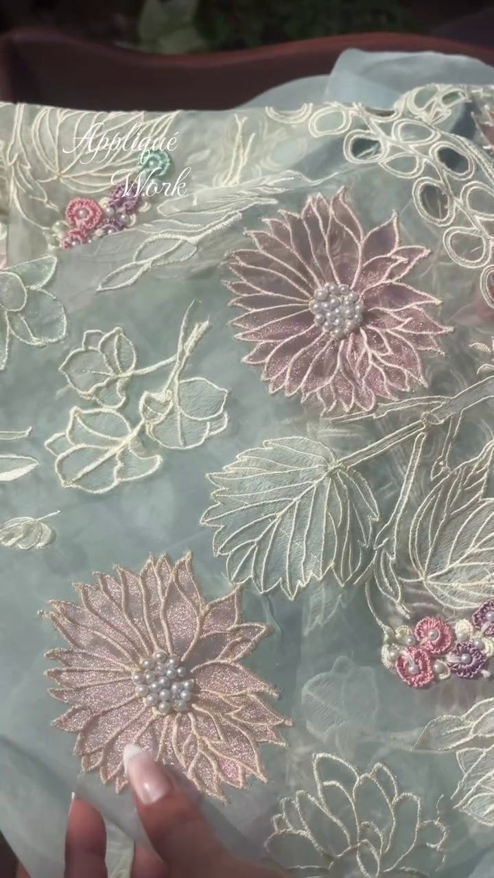 🌸 Premium Pastel Floral Appliqué Embroidered Organza Designer Saree with Elegant Handwork & Matching Blouse Piece